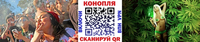 Каннабис Ganja  darknet Telegram  Суровикино 